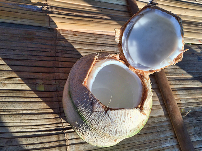 Fresh coconuts - the best refreshment there is on a hot Pai day