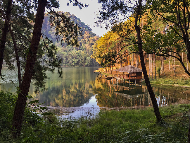 Lake in the evening sun